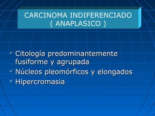  Citología predominantementeCitología predominantemente
fusiforme y agrupadafusiforme y agrupada
 Núcleos pleomórficos y elongadosNúcleos pleomórficos y elongados
 HipercromasiaHipercromasia
CARCINOMA INDIFERENCIADO
( ANAPLASICO )
 