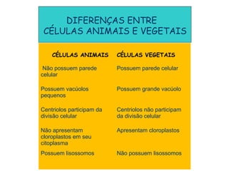DIFERENÇAS ENTRE
 CÉLULAS ANIMAIS E VEGETAIS

    CÉLULAS ANIMAIS        CÉLULAS VEGETAIS

 Não possuem parede        Possuem parede celular
celular

Possuem vacúolos           Possuem grande vacúolo
pequenos

Centriolos participam da   Centriolos não participam
divisão celular            da divisão celular

Não apresentam             Apresentam cloroplastos
cloroplastos em seu
citoplasma
Possuem lisossomos         Não possuem lisossomos
 