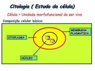 Citologia ( Estudo da célula)
  Célula = Unidade morfofuncional do ser vivo
Composição celular básica:

                                      MEMBRANA
                                      PLASMÁTICA
   CITOPLASMA




           NÚCLEO
 
