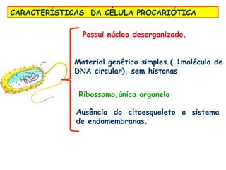 CARACTERÍSTICAS DA CÉLULA PROCARIÓTICA

               Possui núcleo desorganizado.


             Material genético simples ( 1molécula de
             DNA circular), sem histonas


              Ribossomo,única organela

             Ausência do citoesqueleto e sistema
             de endomembranas.
 