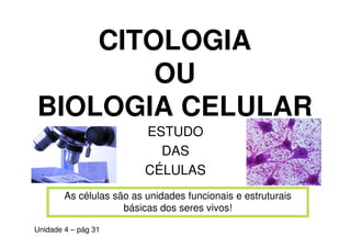 CITOLOGIA
        OU
BIOLOGIA CELULAR
                          ESTUDO
                            DAS
                          CÉLULAS
        As células são as unidades funcionais e estruturais
                     básicas dos seres vivos!

Unidade 4 – pág 31
 