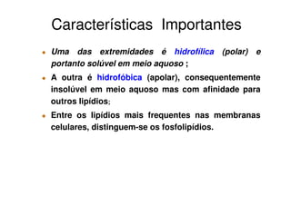 Características Importantes
Uma das extremidades é hidrofílica (polar) e
portanto solúvel em meio aquoso ;
A outra é hidrofóbica (apolar), consequentemente
insolúvel em meio aquoso mas com afinidade para
outros lipídios;
Entre os lipídios mais frequentes nas membranas
celulares, distinguem-se os fosfolipídios.
 