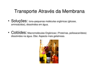 Transporte Através da Membrana
• Soluções: íons+pequenas moléculas orgânicas (glicose,
  aminoácidos), dissolvidos em água.


• Colóides: Macromoléculas Orgânicas ( Proteínas, polissacarídeos)
  dissolvidos na água. Obs: Aspecto mais gelatinoso.
 
