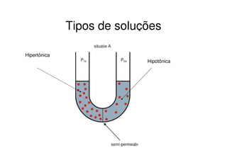 Tipos de soluções

Hipertônica
                            Hipotônica
 