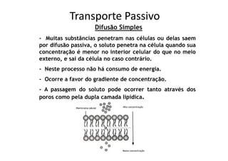 Transporte Passivo
                    Difusão Simples
- Muitas substâncias penetram nas células ou delas saem
por difusão passiva, o soluto penetra na célula quando sua
concentração é menor no interior celular do que no meio
externo, e sai da célula no caso contrário.
- Neste processo não há consumo de energia.
- Ocorre a favor do gradiente de concentração.
- A passagem do soluto pode ocorrer tanto através dos
poros como pela dupla camada lipídica.
 