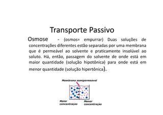 Transporte Passivo
Osmose        - (osmos= empurrar) Duas soluções de
concentrações diferentes estão separadas por uma membrana
que é permeável ao solvente e praticamente insolúvel ao
soluto. Há, então, passagem do solvente de onde está em
maior quantidade (solução hipotônica) para onde está em
menor quantidade (solução hipertônica).
 