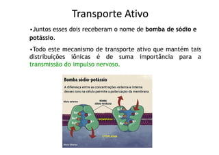Transporte Ativo
•Juntos esses dois receberam o nome de bomba de sódio e
potássio.
•Todo este mecanismo de transporte ativo que mantém tais
distribuições iônicas é de suma importância para a
transmissão do impulso nervoso.
 