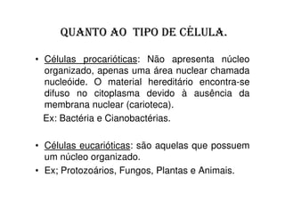• Células procarióticas: Não apresenta núcleo
  organizado, apenas uma área nuclear chamada
  nucleóide. O material hereditário encontra-se
  difuso no citoplasma devido à ausência da
  membrana nuclear (carioteca).
  Ex: Bactéria e Cianobactérias.

• Células eucarióticas: são aquelas que possuem
  um núcleo organizado.
• Ex; Protozoários, Fungos, Plantas e Animais.
 
