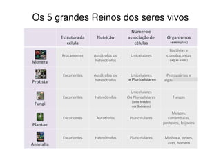 Os 5 grandes Reinos dos seres vivos




                     e Pluricelulares
 