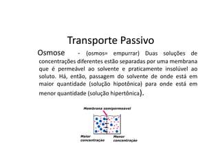 Transporte Passivo
Osmose        - (osmos= empurrar) Duas soluções de
concentrações diferentes estão separadas por uma mem...