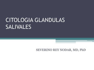 CITOLOGIA GLANDULAS
SALIVALES
SEVERINO REY NODAR, MD, PhD
 
