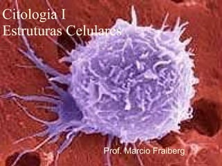 Citologia I Estruturas Celulares Prof. Marcio Fraiberg 