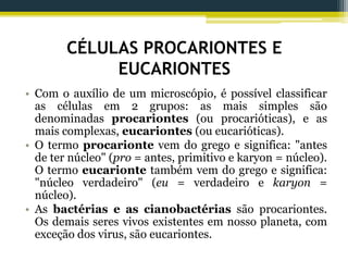 CÉLULAS PROCARIONTES E
EUCARIONTES
• Com o auxílio de um microscópio, é possível classificar
as células em 2 grupos: as mais simples são
denominadas procariontes (ou procarióticas), e as
mais complexas, eucariontes (ou eucarióticas).
• O termo procarionte vem do grego e significa: "antes
de ter núcleo" (pro = antes, primitivo e karyon = núcleo).
O termo eucarionte também vem do grego e significa:
"núcleo verdadeiro" (eu = verdadeiro e karyon =
núcleo).
• As bactérias e as cianobactérias são procariontes.
Os demais seres vivos existentes em nosso planeta, com
exceção dos virus, são eucariontes.
 