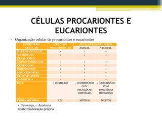 CÉLULAS PROCARIONTES E
EUCARIONTES
• Organização celular de procariontes e eucariontes
ESTRUTURA
CELULAR
CÉLULAS
PROCARIONTES
CÉLULAS EUCARIONTES
ANIMAL VEGETAL
PAREDE CELULAR + - +
MEMBRANA
PLASMÁTICA
+ + +
ENDOMEMBRANAS - + +
CENTRÍOLO - + -
RIBOSSOMOS + + +
MITOCONDRIAS - + +
CLOROPLASTOS - - +
CARIOTECA - + +
DNA + (SIMPLES) + (COMBINADO
COM
PROTEÍNAS
HISTONAS)
+ (COMBINADO
COM
PROTEÍNAS
HISTONAS)
CROMOSSOMOS UM MUITOS MUITOS
+: Presença, -: Ausência
Fonte: Elaboração própria
 