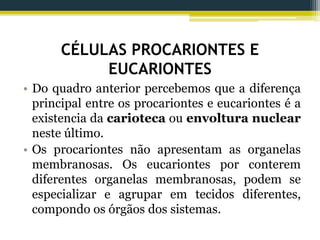 CÉLULAS PROCARIONTES E
EUCARIONTES
• Do quadro anterior percebemos que a diferença
principal entre os procariontes e eucariontes é a
existencia da carioteca ou envoltura nuclear
neste último.
• Os procariontes não apresentam as organelas
membranosas. Os eucariontes por conterem
diferentes organelas membranosas, podem se
especializar e agrupar em tecidos diferentes,
compondo os órgãos dos sistemas.
 
