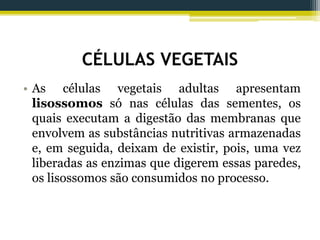 CÉLULAS VEGETAIS
• As células vegetais adultas apresentam
lisossomos só nas células das sementes, os
quais executam a digestão das membranas que
envolvem as substâncias nutritivas armazenadas
e, em seguida, deixam de existir, pois, uma vez
liberadas as enzimas que digerem essas paredes,
os lisossomos são consumidos no processo.
 