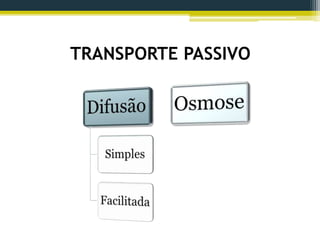 TRANSPORTE PASSIVO
 