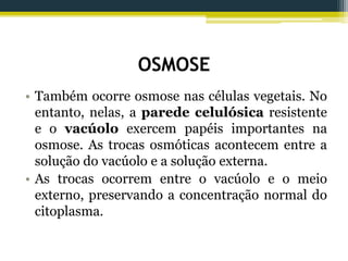 OSMOSE
• Também ocorre osmose nas células vegetais. No
entanto, nelas, a parede celulósica resistente
e o vacúolo exercem papéis importantes na
osmose. As trocas osmóticas acontecem entre a
solução do vacúolo e a solução externa.
• As trocas ocorrem entre o vacúolo e o meio
externo, preservando a concentração normal do
citoplasma.
 