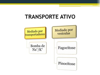 TRANSPORTE ATIVO
 