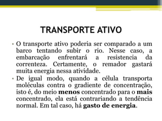 TRANSPORTE ATIVO
• O transporte ativo poderia ser comparado a um
barco tentando subir o rio. Nesse caso, a
embarcação enfrentará a resistencia da
correnteza. Certamente, o remador gastará
muita energia nessa atividade.
• De igual modo, quando a célula transporta
moléculas contra o gradiente de concentração,
isto é, do meio menos concentrado para o mais
concentrado, ela está contrariando a tendência
normal. Em tal caso, há gasto de energia.
 