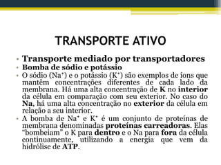 TRANSPORTE ATIVO
• Transporte mediado por transportadores
• Bomba de sódio e potássio
• O sódio (Na⁺) e o potássio (K⁺) são exemplos de íons que
mantêm concentrações diferentes de cada lado da
membrana. Há uma alta concentração de K no interior
da célula em comparação com seu exterior. No caso do
Na, há uma alta concentração no exterior da célula em
relação a seu interior.
• A bomba de Na⁺ e K⁺ é um conjunto de proteínas de
membrana denominadas proteínas carreadoras. Elas
“bombeiam” o K para dentro e o Na para fora da célula
continuamente, utilizando a energia que vem da
hidrólise de ATP.
 