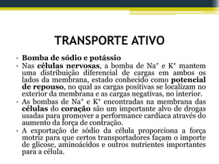 TRANSPORTE ATIVO
• Bomba de sódio e potássio
• Nas células nervosas, a bomba de Na⁺ e K⁺ mantem
uma distribuição diferencial de cargas em ambos os
lados da membrana, estado conhecido como potencial
de repouso, no qual as cargas positivas se localizam no
exterior da membrana e as cargas negativas, no interior.
• As bombas de Na⁺ e K⁺ encontradas na membrana das
células do coração são um importante alvo de drogas
usadas para promover a performance cardíaca através do
aumento da força de contração.
• A exportação de sódio da célula proporciona a força
motriz para que certos transportadores façam o importe
de glicose, aminoácidos e outros nutrientes importantes
para a célula.
 
