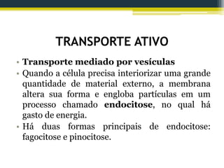 TRANSPORTE ATIVO
• Transporte mediado por vesículas
• Quando a célula precisa interiorizar uma grande
quantidade de material externo, a membrana
altera sua forma e engloba partículas em um
processo chamado endocitose, no qual há
gasto de energia.
• Há duas formas principais de endocitose:
fagocitose e pinocitose.
 