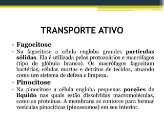 TRANSPORTE ATIVO
• Fagocitose
• Na fagocitose a célula engloba grandes partículas
sólidas. Ela é utilizada pelos protozoários e macrófagos
(tipo de glóbulo branco). Os macrófagos fagocitam
bactérias, células mortas e detritos de tecidos, atuando
como um sistema de defesa e limpeza.
• Pinocitose
• Na pinocitose a célula engloba pequenas porções de
líquido nas quais estão dissolvidas macromoléculas,
como as proteínas. A membrana se contorce para formar
vesículas pinocíticas (pinossomos) em seu interior.
 