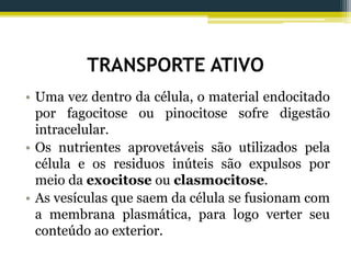 TRANSPORTE ATIVO
• Uma vez dentro da célula, o material endocitado
por fagocitose ou pinocitose sofre digestão
intracelular.
• Os nutrientes aprovetáveis são utilizados pela
célula e os residuos inúteis são expulsos por
meio da exocitose ou clasmocitose.
• As vesículas que saem da célula se fusionam com
a membrana plasmática, para logo verter seu
conteúdo ao exterior.
 