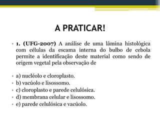 A PRATICAR!
• 1. (UFG-2007) A análise de uma lâmina histológica
com células da escama interna do bulbo de cebola
permite a identificação deste material como sendo de
origem vegetal pela observação de
• a) nucléolo e cloroplasto.
• b) vacúolo e lisossomo.
• c) cloroplasto e parede celulósica.
• d) membrana celular e lisossomo.
• e) parede celulósica e vacúolo.
 