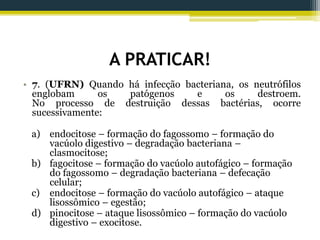 A PRATICAR!
• 7. (UFRN) Quando há infecção bacteriana, os neutrófilos
englobam os patógenos e os destroem.
No processo de destruição dessas bactérias, ocorre
sucessivamente:
a) endocitose – formação do fagossomo – formação do
vacúolo digestivo – degradação bacteriana –
clasmocitose;
b) fagocitose – formação do vacúolo autofágico – formação
do fagossomo – degradação bacteriana – defecação
celular;
c) endocitose – formação do vacúolo autofágico – ataque
lisossômico – egestão;
d) pinocitose – ataque lisossômico – formação do vacúolo
digestivo – exocitose.
 