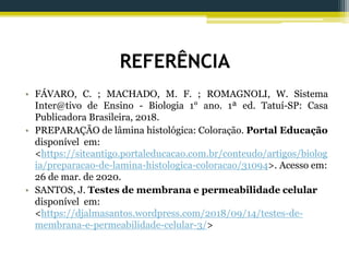 REFERÊNCIA
• FÁVARO, C. ; MACHADO, M. F. ; ROMAGNOLI, W. Sistema
Inter@tivo de Ensino - Biologia 1° ano. 1ª ed. Tatuí-SP: Casa
Publicadora Brasileira, 2018.
• PREPARAÇÃO de lâmina histológica: Coloração. Portal Educação
disponível em:
<https://siteantigo.portaleducacao.com.br/conteudo/artigos/biolog
ia/preparacao-de-lamina-histologica-coloracao/31094>. Acesso em:
26 de mar. de 2020.
• SANTOS, J. Testes de membrana e permeabilidade celular
disponível em:
<https://djalmasantos.wordpress.com/2018/09/14/testes-de-
membrana-e-permeabilidade-celular-3/>
 