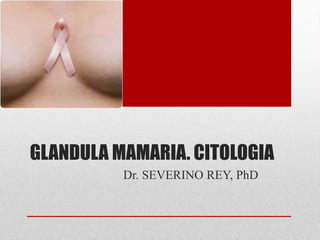 GLANDULA MAMARIA. CITOLOGIA
Dr. SEVERINO REY, PhD
 