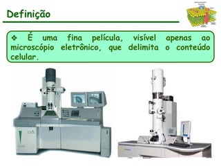 Definição
❖ É uma fina película, visível apenas ao
microscópio eletrônico, que delimita o conteúdo
celular.
Membrana
Plasmática
 