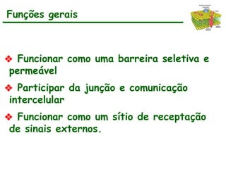 ❖ Funcionar como uma barreira seletiva e
permeável
❖ Participar da junção e comunicação
intercelular
❖ Funcionar como um sítio de receptação
de sinais externos.
Funções gerais
 