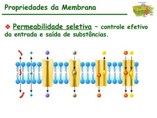 ❖ Permeabilidade seletiva – controle efetivo
da entrada e saída de substâncias.
Propriedades da Membrana
 