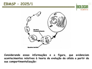 EBMSP – 2025/1
Considerando essas informações e a figura, que evidenciam
acontecimentos relativos à teoria da evolução da célula a partir da
sua compartimentalização:
 
