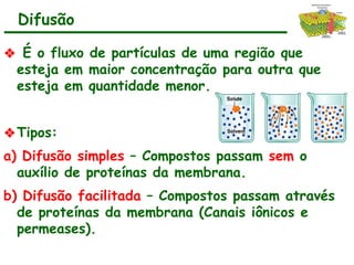 Difusão
❖ É o fluxo de partículas de uma região que
esteja em maior concentração para outra que
esteja em quantidade menor.
❖Tipos:
a) Difusão simples – Compostos passam sem o
auxílio de proteínas da membrana.
b) Difusão facilitada – Compostos passam através
de proteínas da membrana (Canais iônicos e
permeases).
 