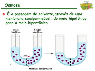 ❖ É a passagem de solvente,através de uma
membrana semipermeável, do meio hipotônico
para o meio hipertônico
Osmose
Solução
hipotônica
Solução
hipertônica
Membrana semiperméavel
 