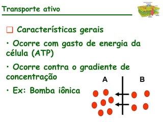❑ Características gerais
• Ocorre com gasto de energia da
célula (ATP)
• Ocorre contra o gradiente de
concentração
• Ex: Bomba iônica
A B
Transporte ativo
 