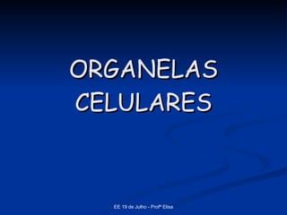 ORGANELAS CELULARES 