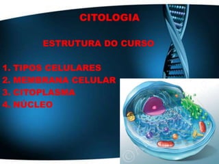 CITOLOGIA

      ESTRUTURA DO CURSO

1. TIPOS CELULARES
2. MEMBRANA CELULAR
3. CITOPLASMA
4. NÚCLEO
 