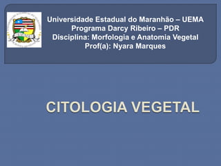 Universidade Estadual do Maranhão – UEMA
      Programa Darcy Ribeiro – PDR
 Disciplina: Morfologia e Anatomia Vegetal
          Prof(a): Nyara Marques
 