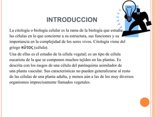 INTRODUCCION
La citología o biología celular es la rama de la biología que estudia
las células en lo que concierne a su estructura, sus funciones y su
importancia en la complejidad de los seres vivos. Citología viene del
griego κύτος (célula).
Una de ellas es el estudio de la célula vegetal; es un tipo de célula
eucariota de la que se componen muchos tejidos en las plantas. Es
descrita con los rasgos de una célula del parénquima asimilador de
una planta vascular. Sus características no pueden generalizarse al resto
de las células de una planta adulta, y menos aún a las de los muy diversos
organismos imprecisamente llamados vegetales.
 