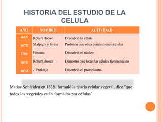 HISTORIA DEL ESTUDIO DE LA
CELULA
Matias Schleiden en 1838, formuló la teoría celular vegetal, dice "que
todos los vegetales están formados por células"
AÑO NOMBRE ACTIVIDAD
1665
1672
1781
1831
1839
Robert Hooke
Malpighi y Grew
Fontana
Robert Brown
J. Purkinje
Descubrió la célula
Probaron que otras plantas tienen células
Descubrió el núcleo
Demostró que todas las célulastienen núcleo
Descubrió el protoplasma.
 