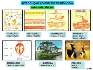 INTRODUÇÃO AO ESTUDO DE BIOLOGIA
PRINCIPAIS CIÊNCIAS

CITOLOGIA
(cito =célula)

EMBRIOLOGIA
(embrio = embrião)

HISTOLOGIA
(histo = tecido)

ORGANOLOGIA
(organo = órgão)

BOTÂNICA
(botanike = erva)

ANATOMIA
(ana = sem)
(tomo = dividir)

ZOOLOGIA
(zoo =
animal)

LEONEL

 