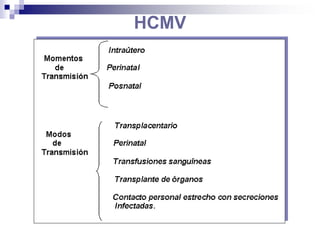HCMV
 