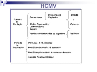 HCMV
 