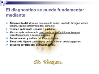 1.INFECCION CONGENITA
CLINICA
Evidente al nacimiento es común,
1% nacidos vivos en EEUU
10% signos y síntomas de infección
por HCMV.
Cuerpo muy pequeño .
Problemas con el hígado, el bazo o los pulmones
Ictericia (piel y ojos amarillos) .
Parches color púrpura en la piel .
Convulsiones.
Petequias, hepatoesplenomegalia ,
ictericia y microcefalia
Trombocitopenia , colestasis , lesión
hepatocelular.
La patología orgánica es autolimitada
Daño al SNC es permanente
Retraso en el desarrollo, actividad
Convulsiva.
Deterioro neurológico, perdida
auditiva
Recién nacido con hematomas
múltiples y sangrado por boca,
trombocitopenia severa en infección
congénita por citomegalovirus.
 