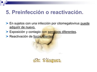 DIAGNOSTICO + EXAMENES DE LABORATORIO:
1.- CLINICO.
2.- DETECCION VIRAL
• -Orina (+++) –Saliva
• – Sangre –
• -Secreciones Vaginales
3.- SEROLOGIA.ELISA. Anticuerpos Neutralizantes
4. Cultivos de virus en tejidos.
5. Biopsia hígado. Comprobar células gigantes.
6. Examen de sedimento urinario o gástrico. En busca de cuerpos de inclusión intranucleares o
intracitoplasmaticos o células gigantes.
EXAMENS DE LABORATORIO
 